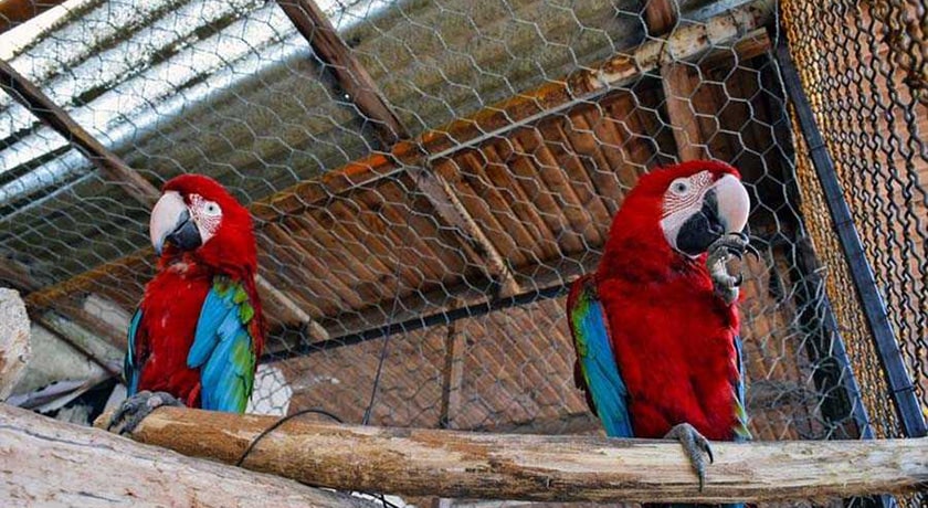 باغ پرندگان آستارا -  شهر آستارا