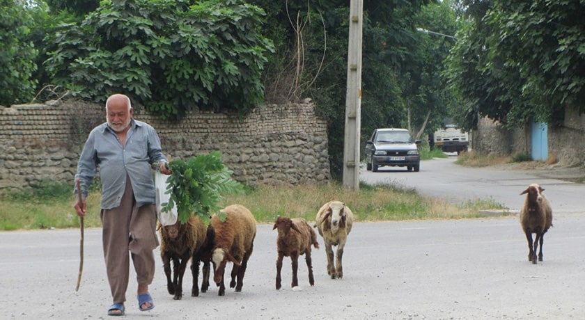  روستای ول آغوز شهرستان مازندران استان ساری