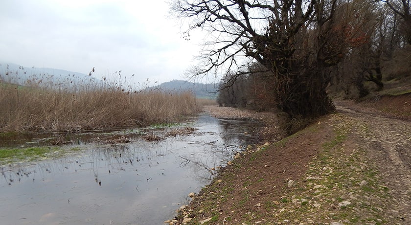  روستای مولا شهرستان مازندران استان ساری