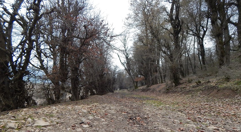  روستای مولا شهرستان مازندران استان ساری