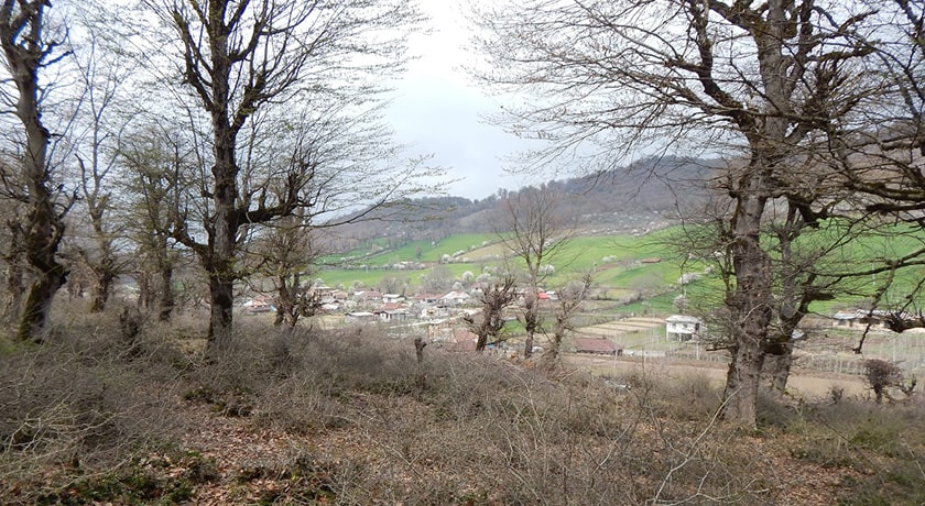  روستای مولا شهرستان مازندران استان ساری