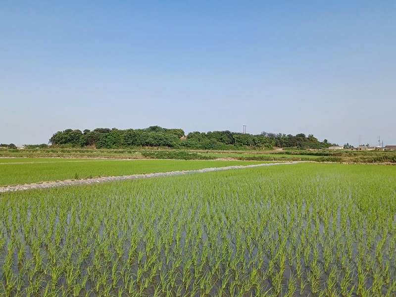  تپه قلعه کش شهرستان مازندران استان آمل