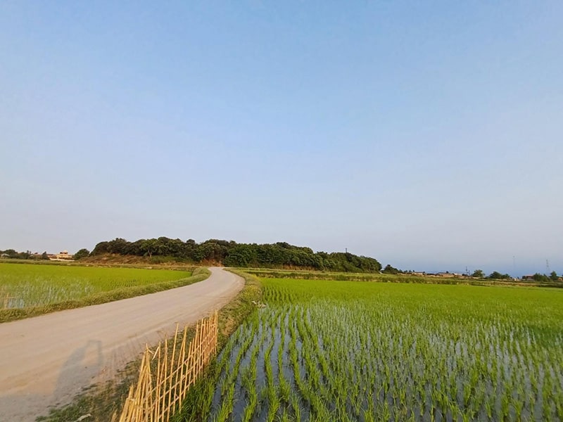  تپه قلعه کش شهرستان مازندران استان آمل