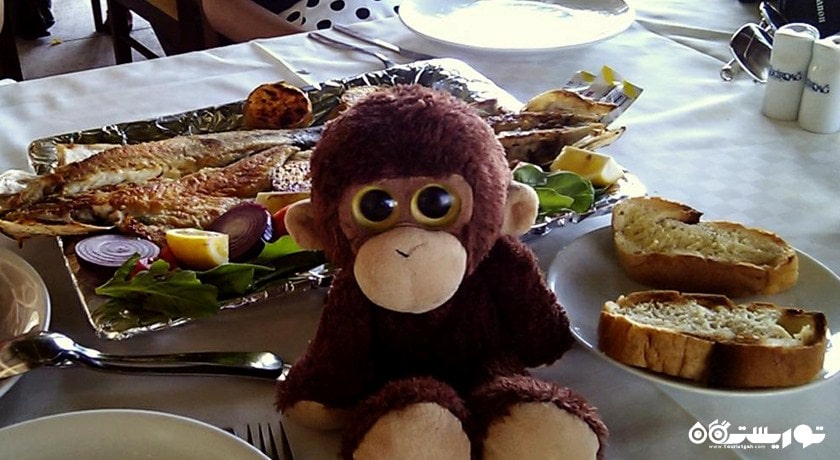 رستوران سلما -  شهر کوش آداسی