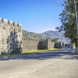 قلعه گونیو