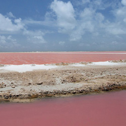 تالاب لیپار