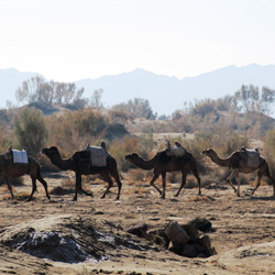 روستای بیاضه