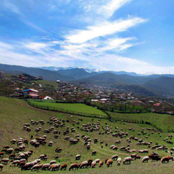 روستای اتو