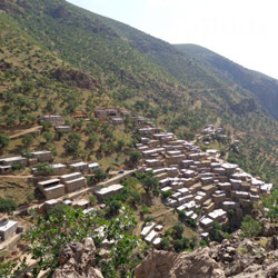 روستای ناو