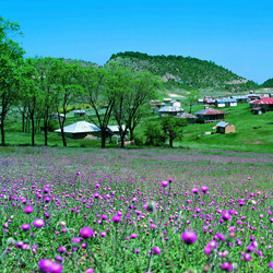 روستای جهان نما