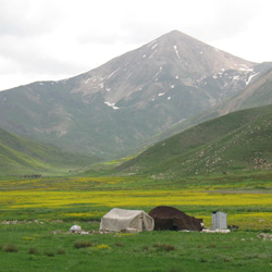 دشت لار 