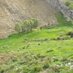 روستای ویلا دره