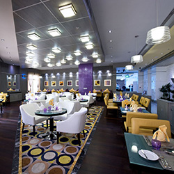 رستوران بریو