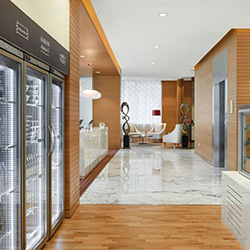 گالری مارکت