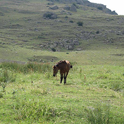 روستای آتشگاه سرعین