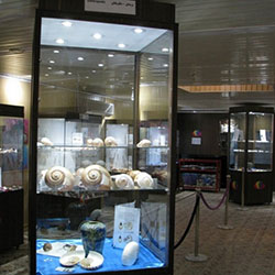 موزه صدف اصفهان