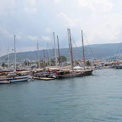 میلتا مارینا