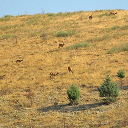 پارک ملی خجیر