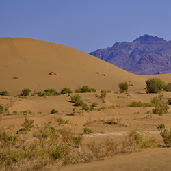 روستای مصر