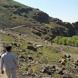 کوه دره دارآباد