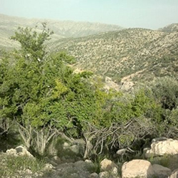 کوه سیاه چال