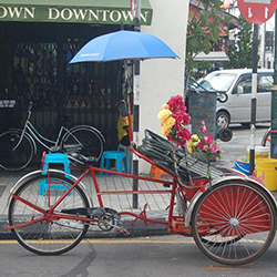 سواری با تریشاو در پنانگ