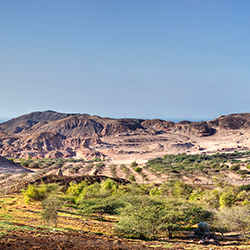 جزیره سر بنی یاس