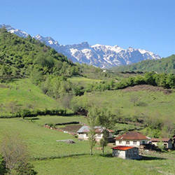 روستای پاجی