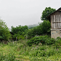 روستای سیاوش کلا