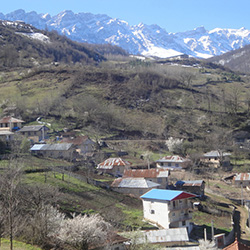 روستای میانا