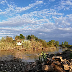 روستای برجی خیل