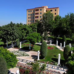 موزه گلسنگ