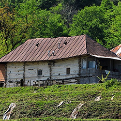 روستای درزیکلا