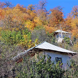 روستای سنام