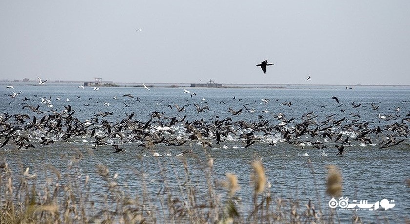 استان آذربایجان غربی در کشور ایران - توریستگاه