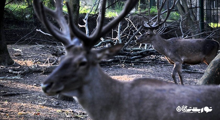 شهر ساری در استان مازندران - توریستگاه