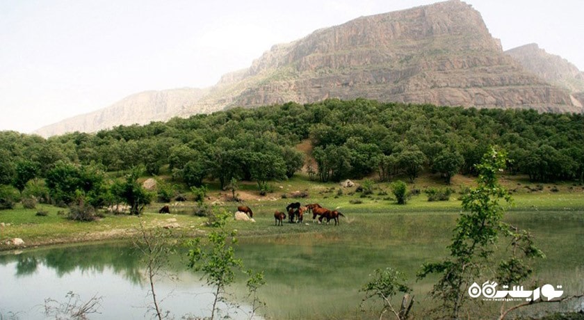 شهر دورود در استان لرستان - توریستگاه