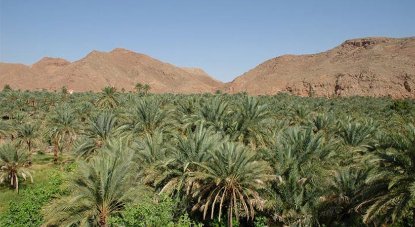 شهر خور  و بیابانک در استان اصفهان - توریستگاه