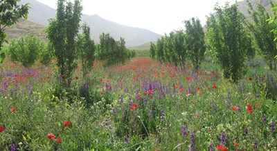 شهر سمیرم در استان اصفهان - توریستگاه