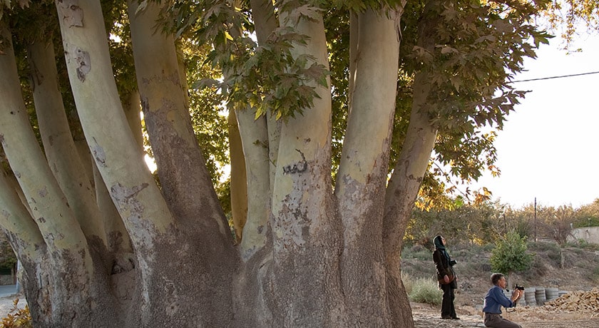 شهر نطنز در استان اصفهان - توریستگاه