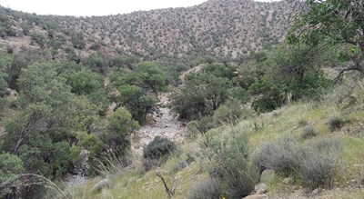 شهر بافت در استان کرمان - توریستگاه