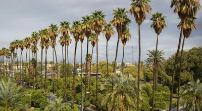 شهر جیرفت در استان کرمان - توریستگاه