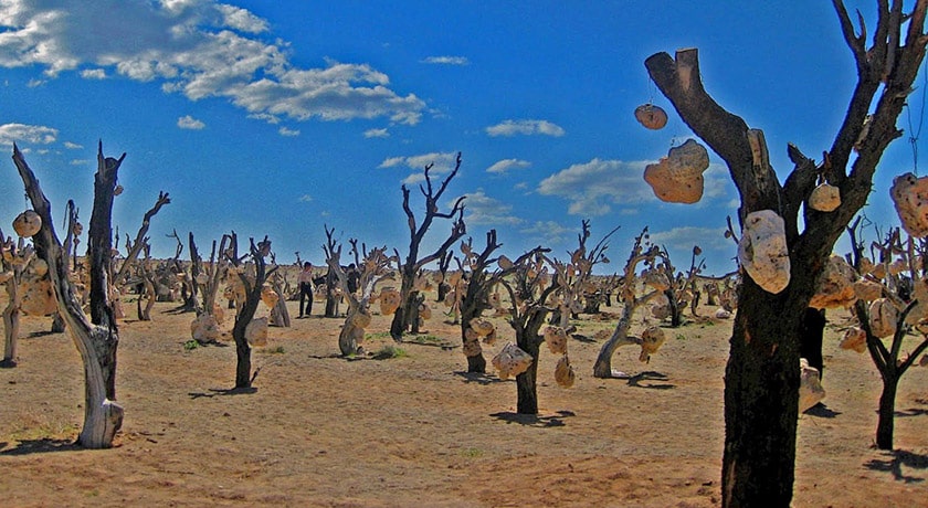 شهر سیرجان در استان کرمان - توریستگاه