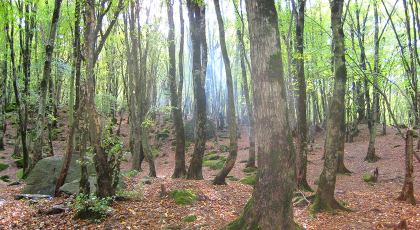 شهر گرگان در استان گلستان - توریستگاه