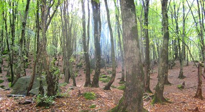 شهر گرگان در استان گلستان - توریستگاه