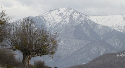 شهر گرگان در استان گلستان - توریستگاه