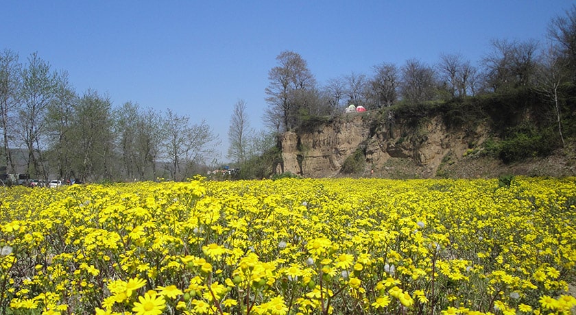 شهر آمل در استان مازندران - توریستگاه