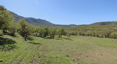 شهر ایلام در استان ایلام - توریستگاه