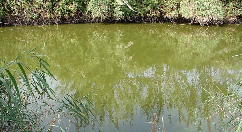 شهر جویبار در استان مازندران - توریستگاه