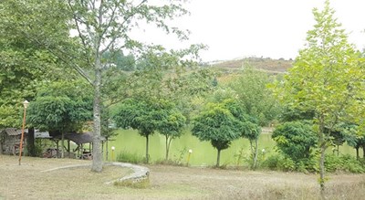 شهر رامسر در استان مازندران - توریستگاه